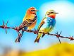 Daily Jigsaw Puzzle