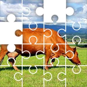 Brown Cow 35 Piece Jigzone Jigsaw Puzzle JigZone