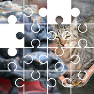 Cat Lion Jigsaw Puzzle JigZone