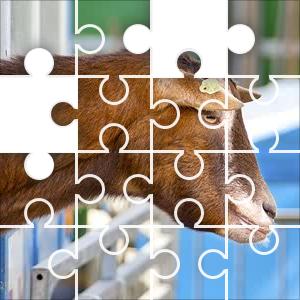 Goat Jigsaw Puzzle JigZone