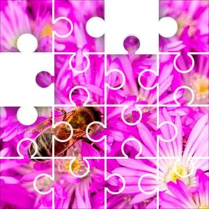 Incognito - Bees+Things+Flowers 国内プロモEP Bees + Things + Flowers - Wikipedia