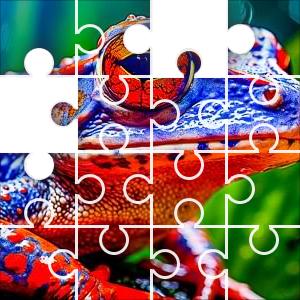 Blue Red Frog Jigsaw Puzzle JigZone